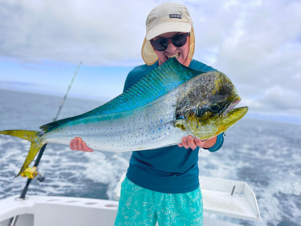 Colorful mahi-mahi